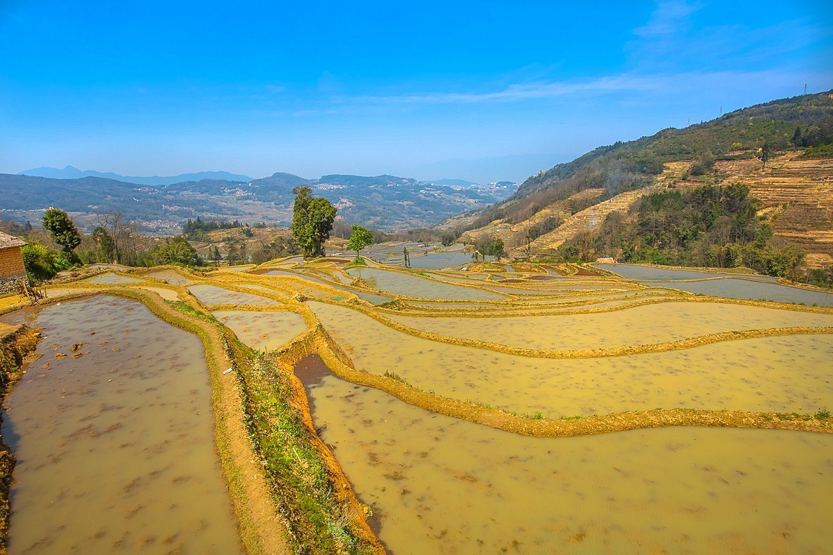 2025-04-29云南元阳哈尼梯田（二）