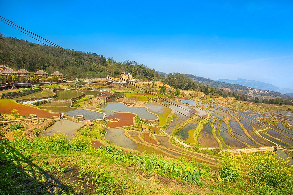 2025-04-29云南元阳哈尼梯田（二）