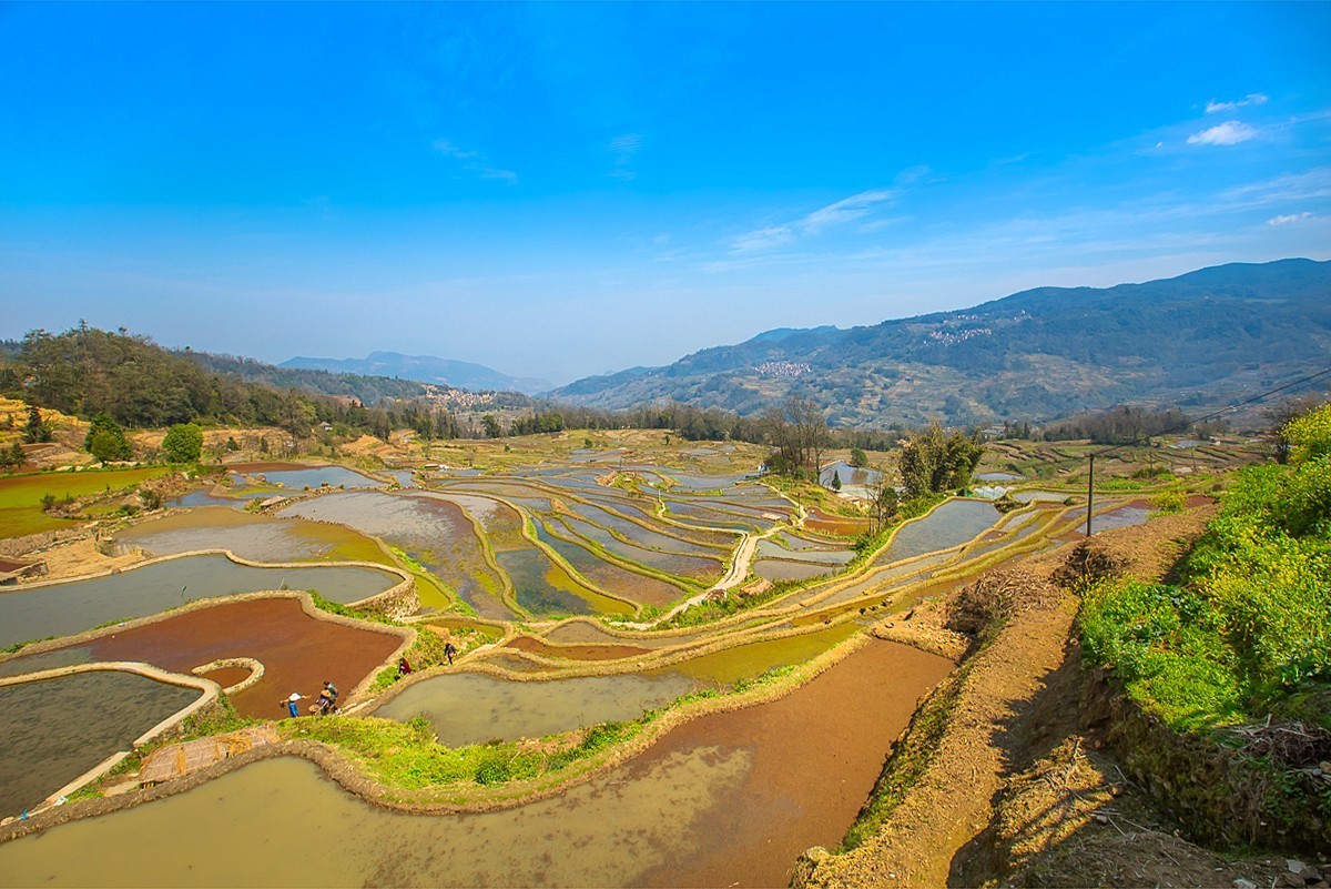 2025-04-29云南元阳哈尼梯田（二）