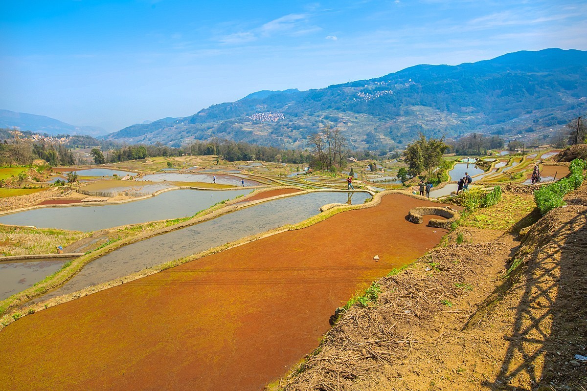 2025-04-29云南元阳哈尼梯田（二）