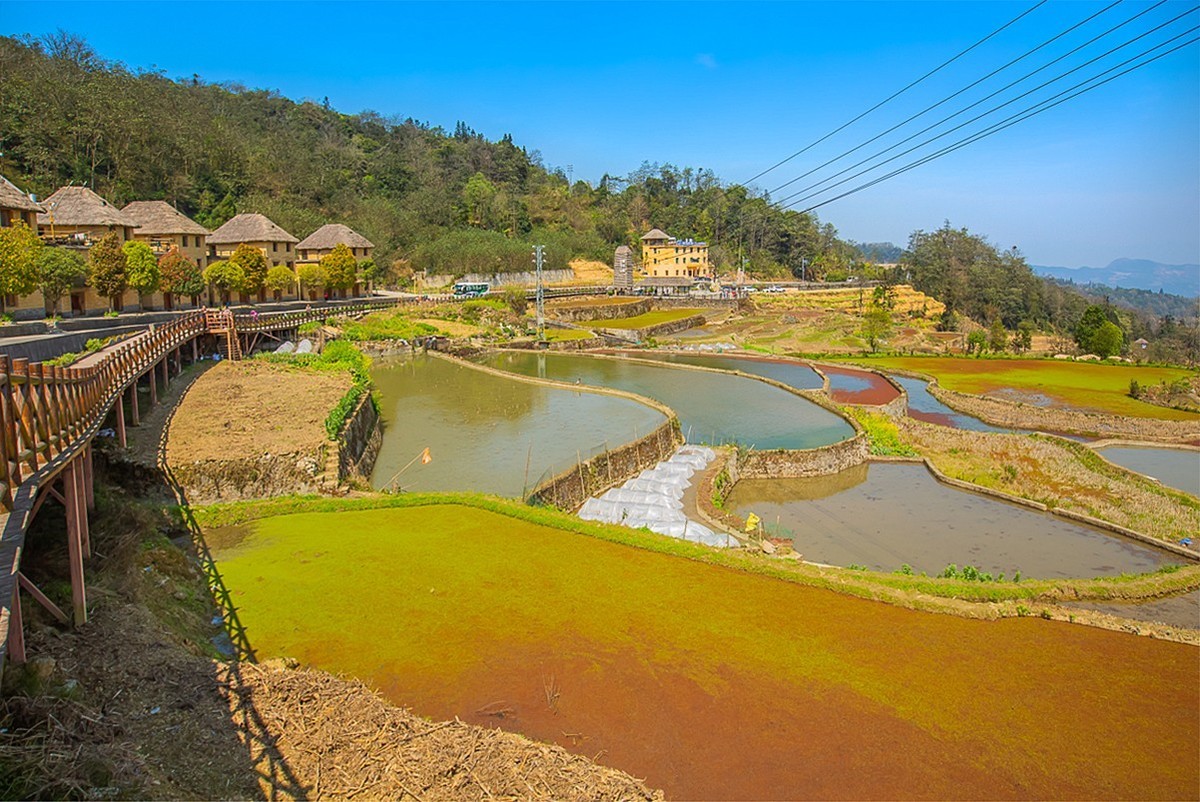 2025-04-29云南元阳哈尼梯田（二）