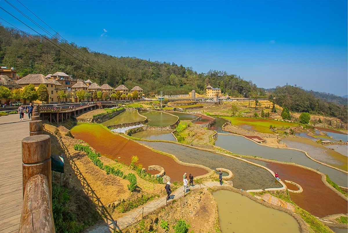 2025-04-29云南元阳哈尼梯田（二）