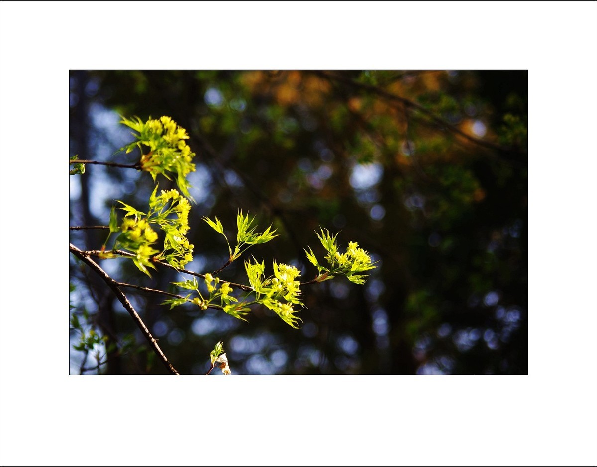 2025年4月拍春天