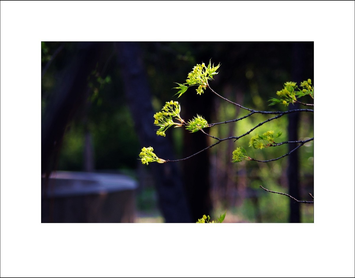 2025年4月拍春天