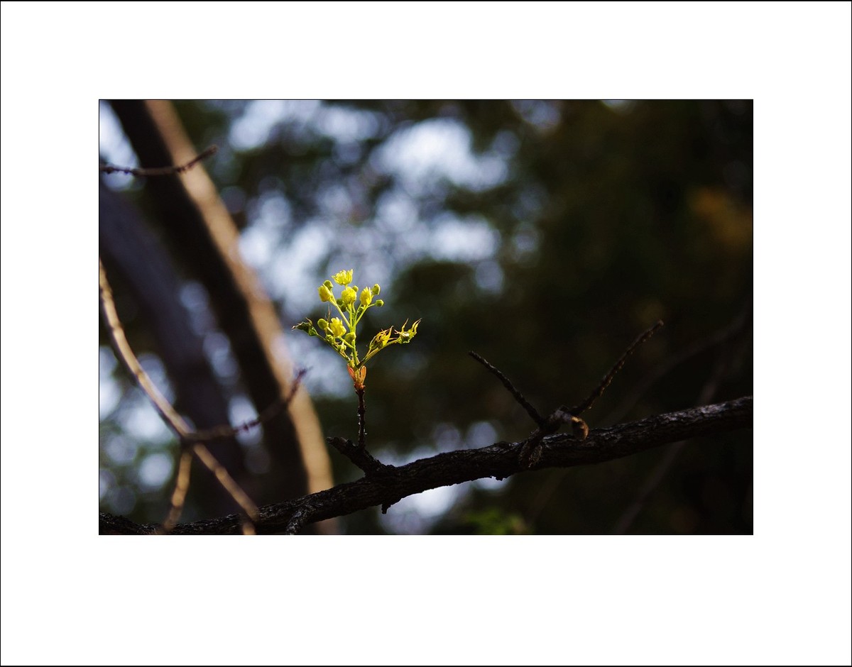 2025年4月拍春天