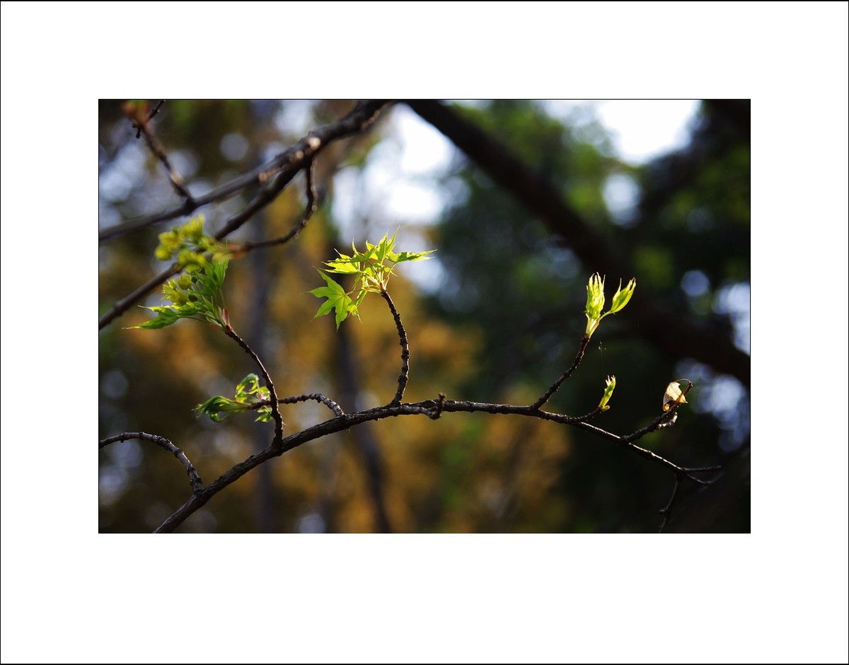 2025年4月拍春天