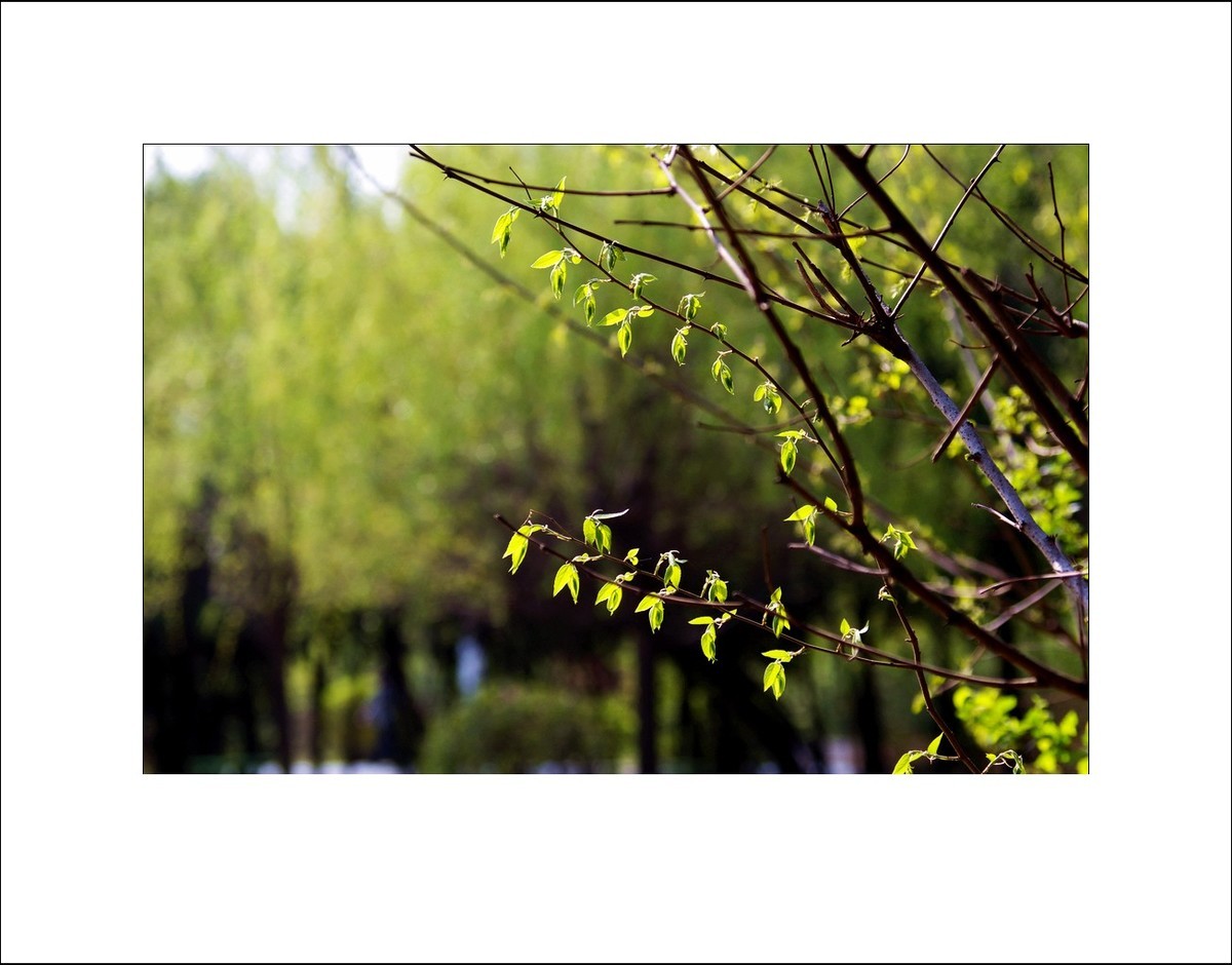 2025年4月拍春天