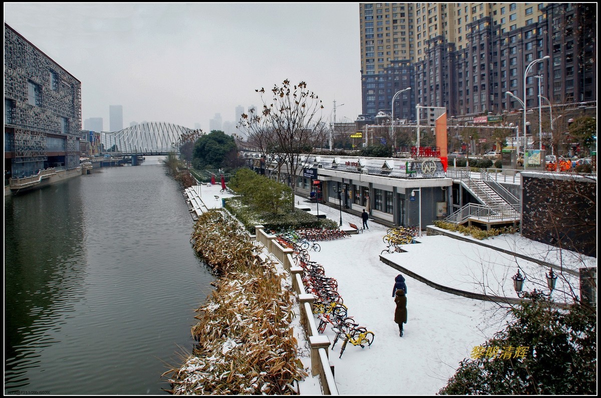 沙湖周边雪景—8