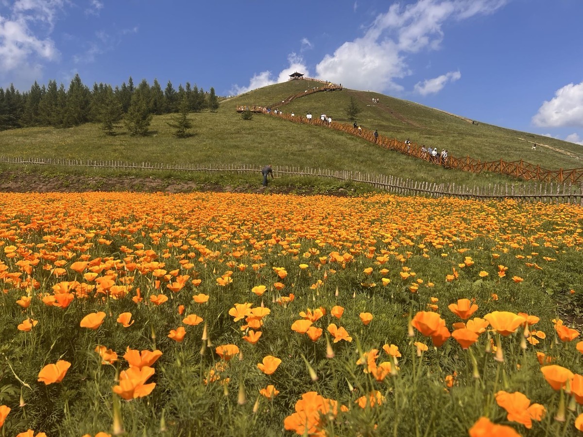 七彩森林景区|云天收夏色 木叶动秋生