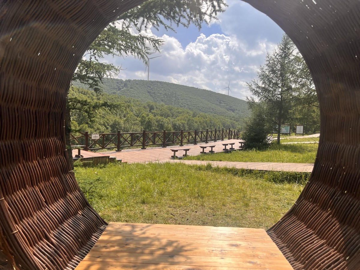 七彩森林景区|云天收夏色 木叶动秋生