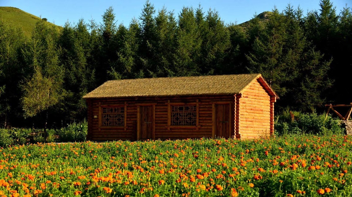 七彩森林景区|云天收夏色 木叶动秋生