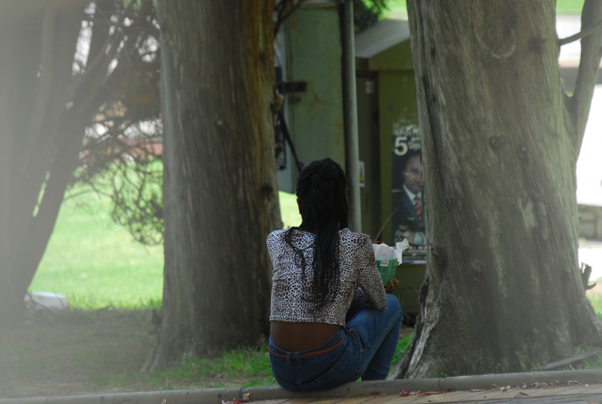 尼康D200  适马50-500镜头杂拍