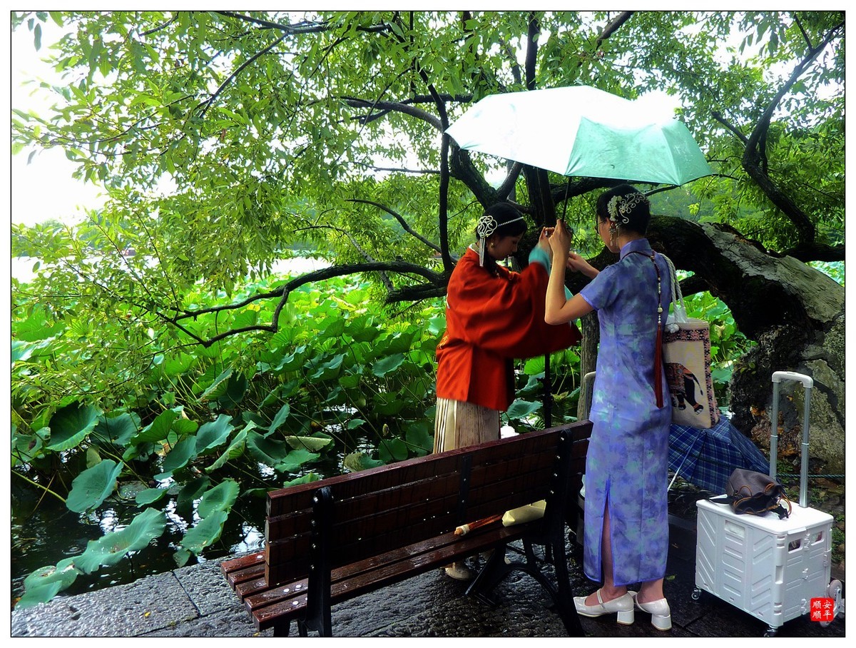 旅游随拍-----浙江杭州西湖(断桥段)风景(中)