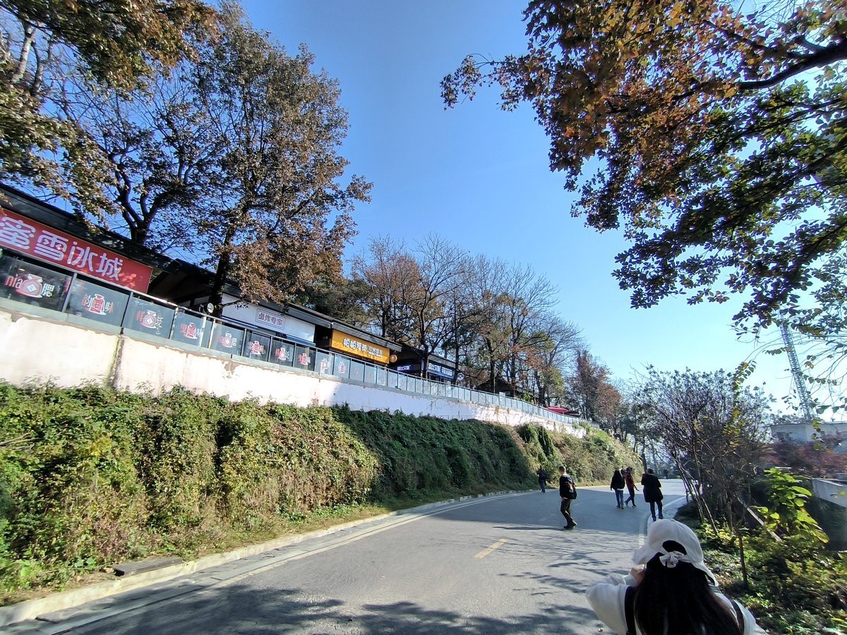 漫步星城 走街串巷（406）岳麓山