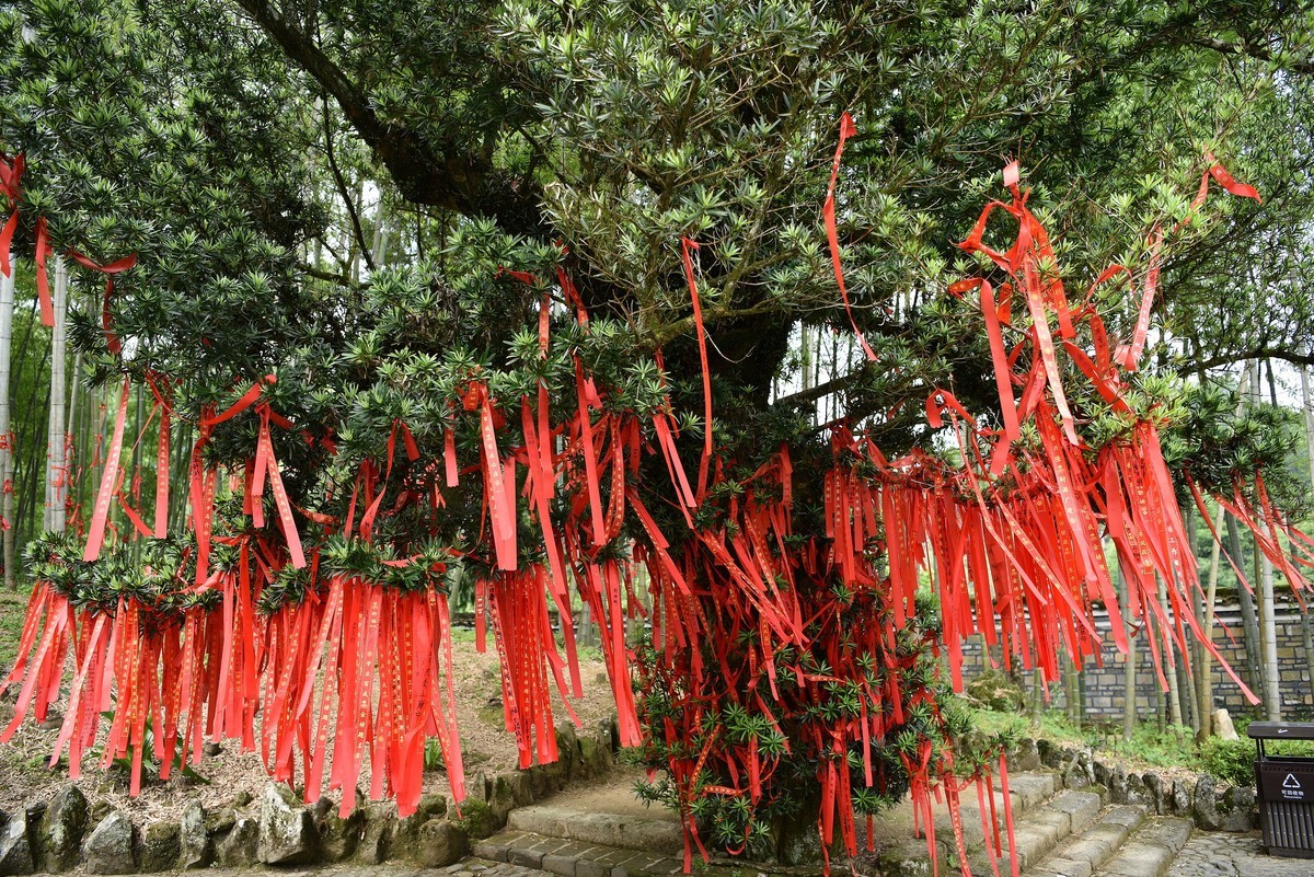 井冈山象山阉——毛 泽东贺子珍婚礼处-7