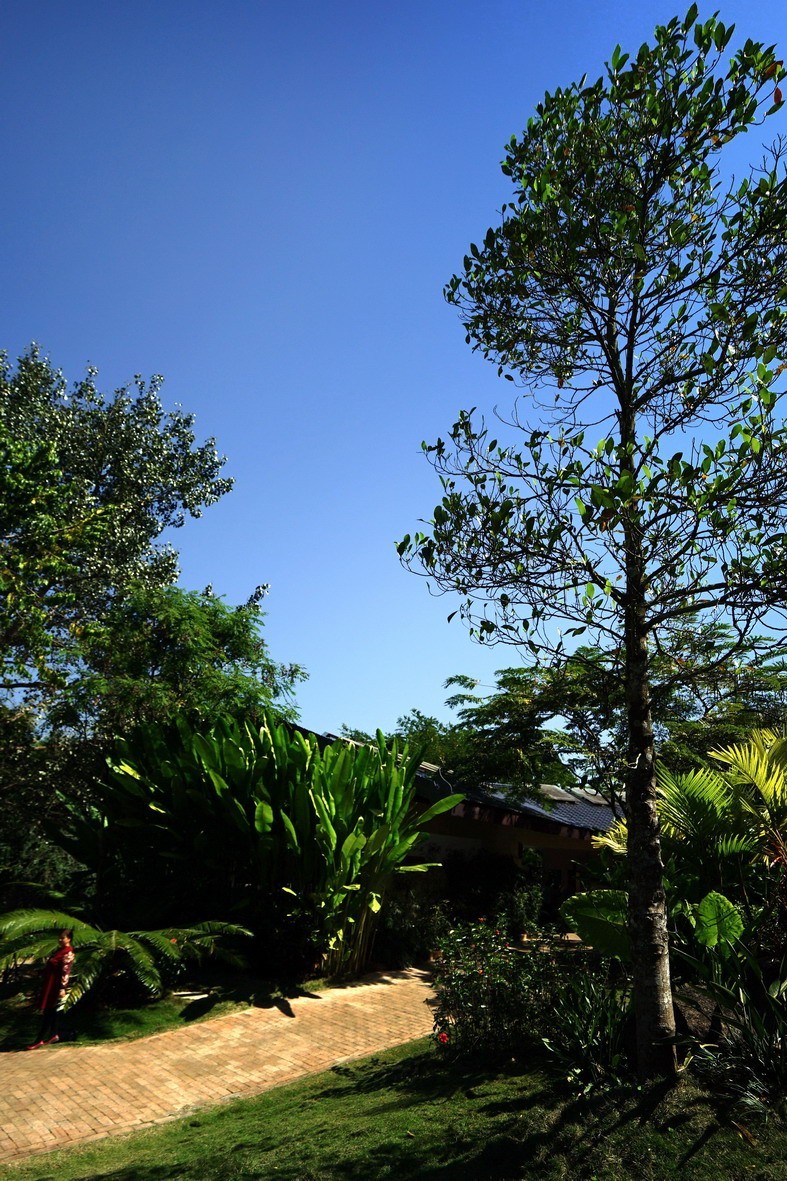 暗调风景【勐泐大佛寺】（第三集）——10P