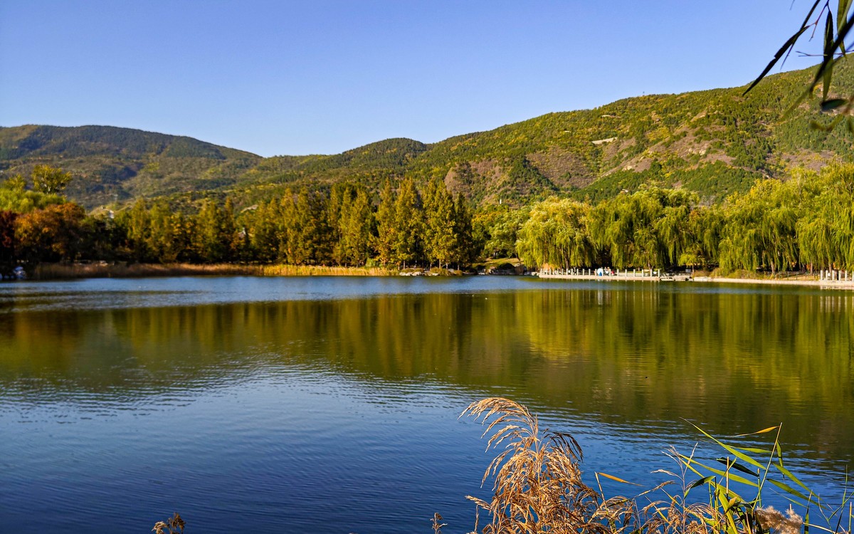 手机随拍20231026《293》