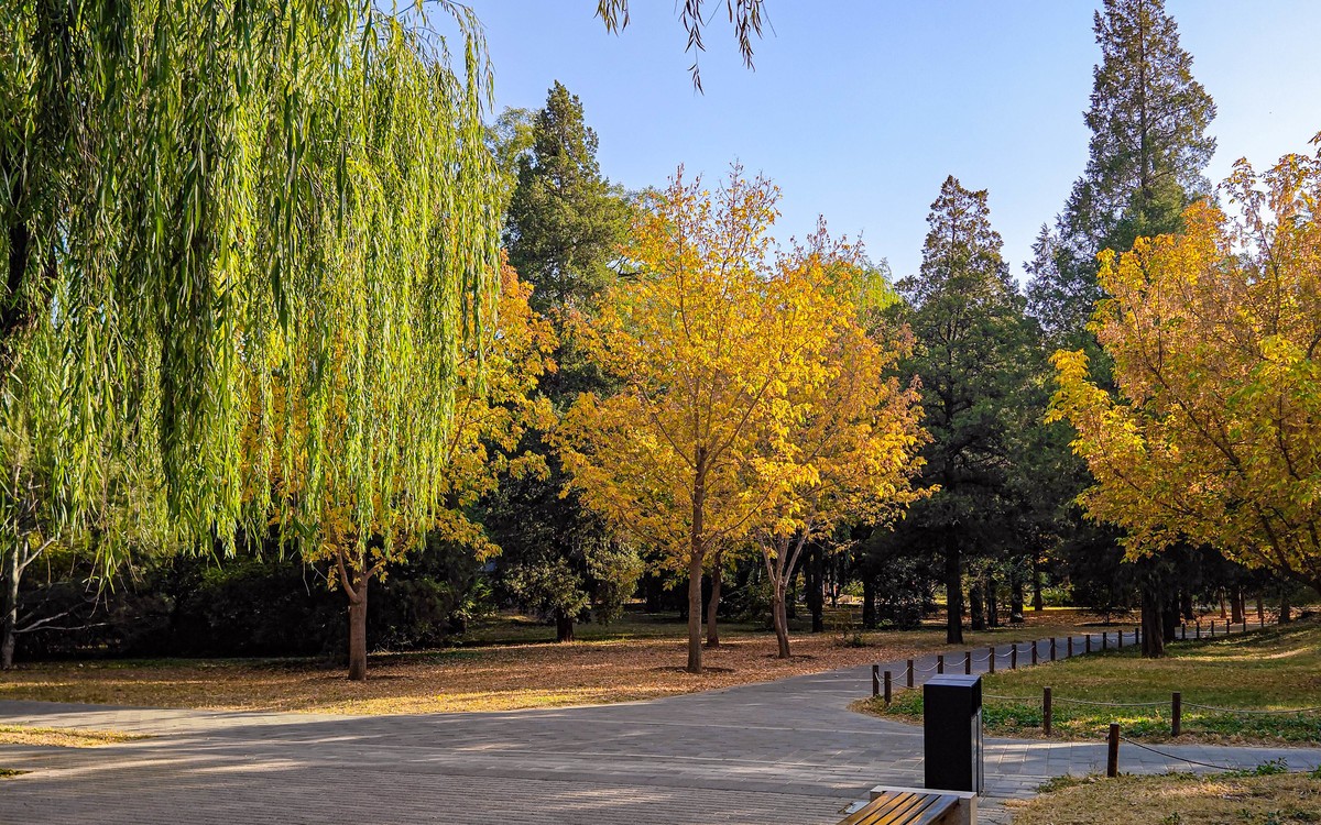 手机随拍20231026《293》