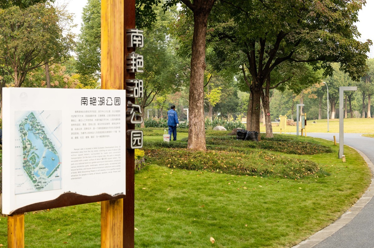 庐州印象（396）南艳湖公园粉黛花开