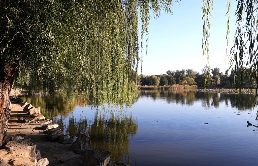 秋色中的圆明园