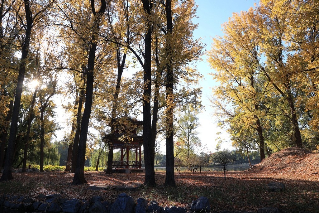 秋色中的圆明园