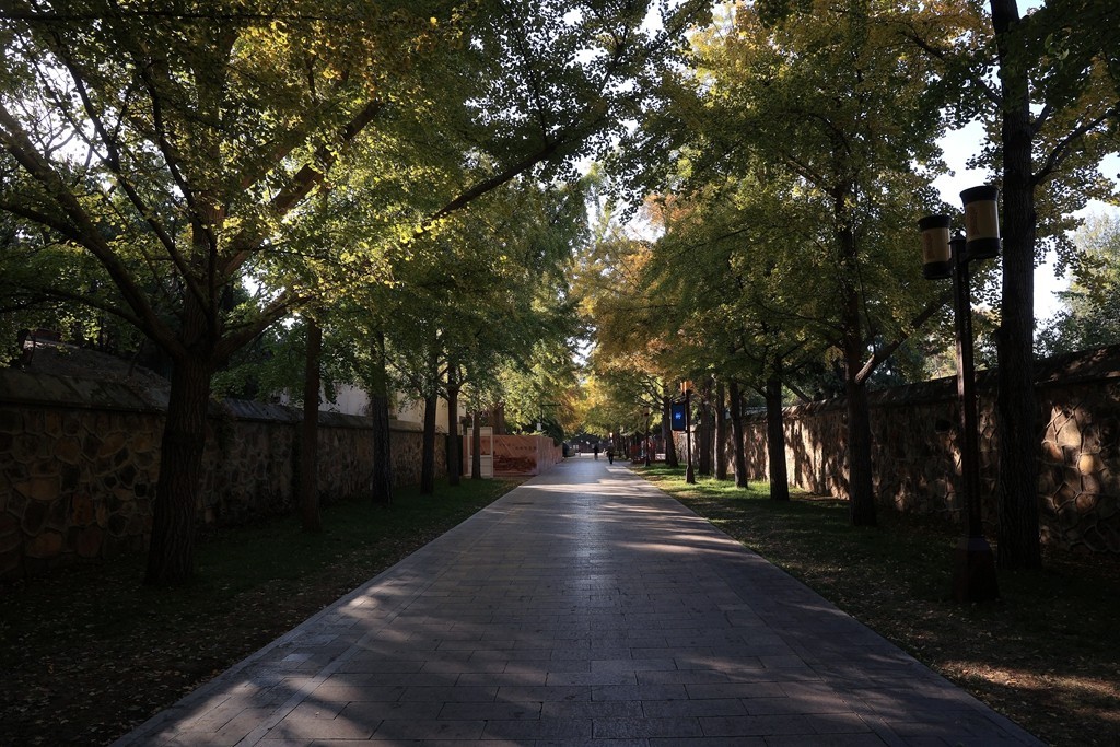 秋色中的圆明园