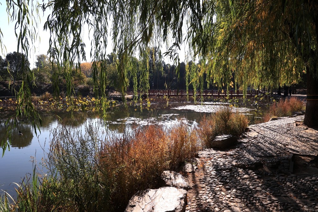 秋色中的圆明园