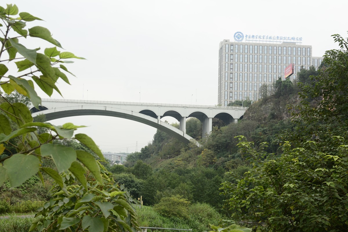 重庆水土镇 竹溪湿地公园随拍 三角梅