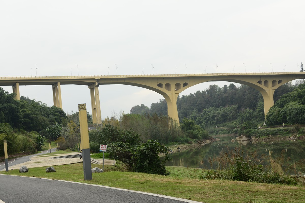 重庆水土镇 竹溪湿地公园随拍 三角梅