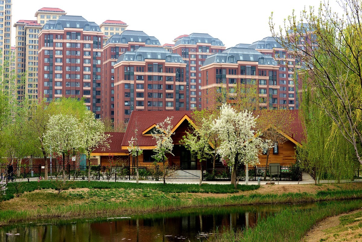 轻便好用的 小驴炮