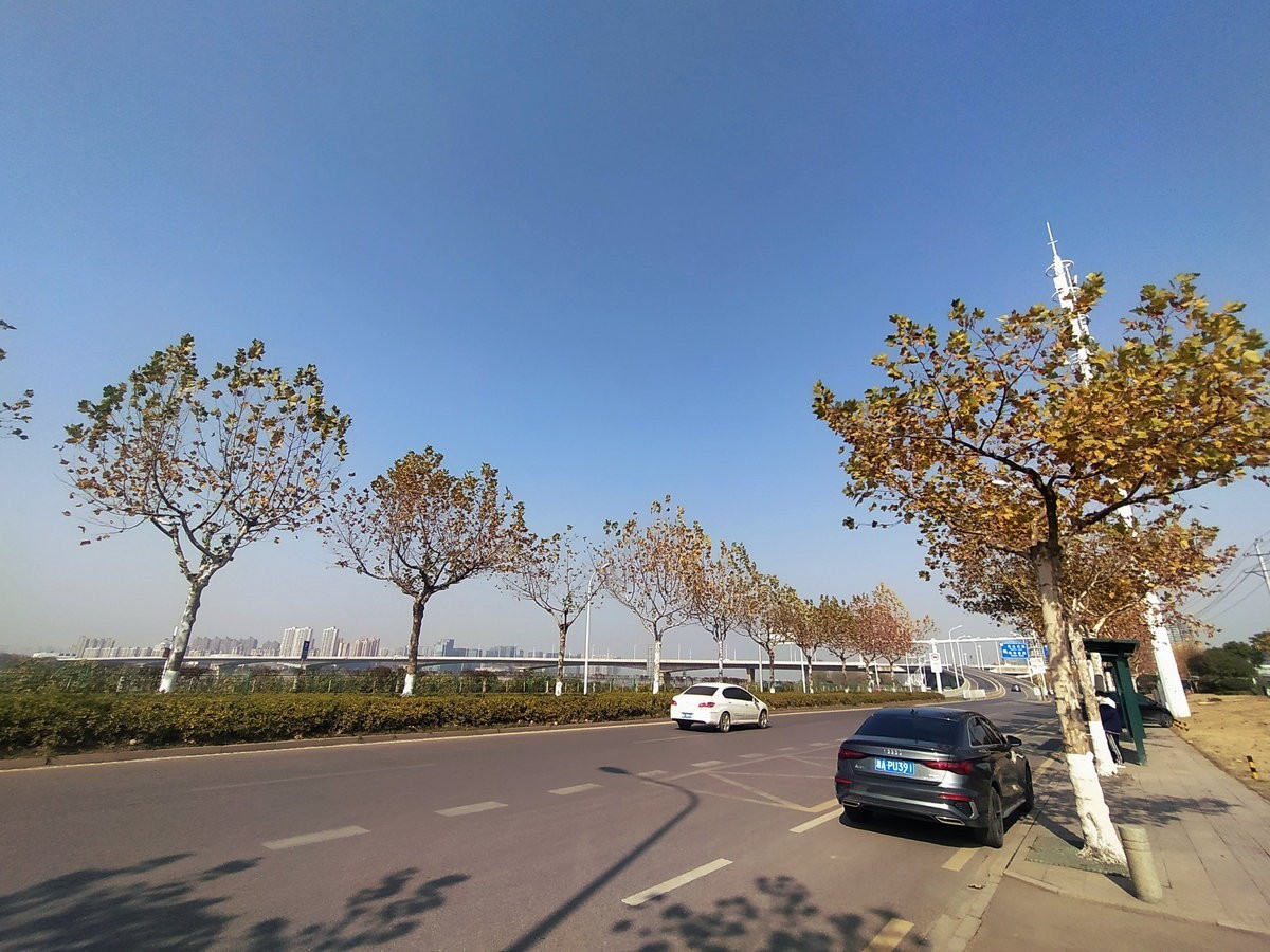 漫步星城 走街串巷（350）滨江公园三期