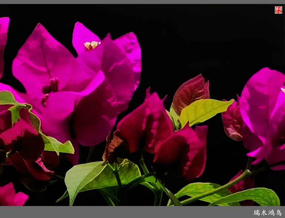 【手机随拍】北平人家小馆子