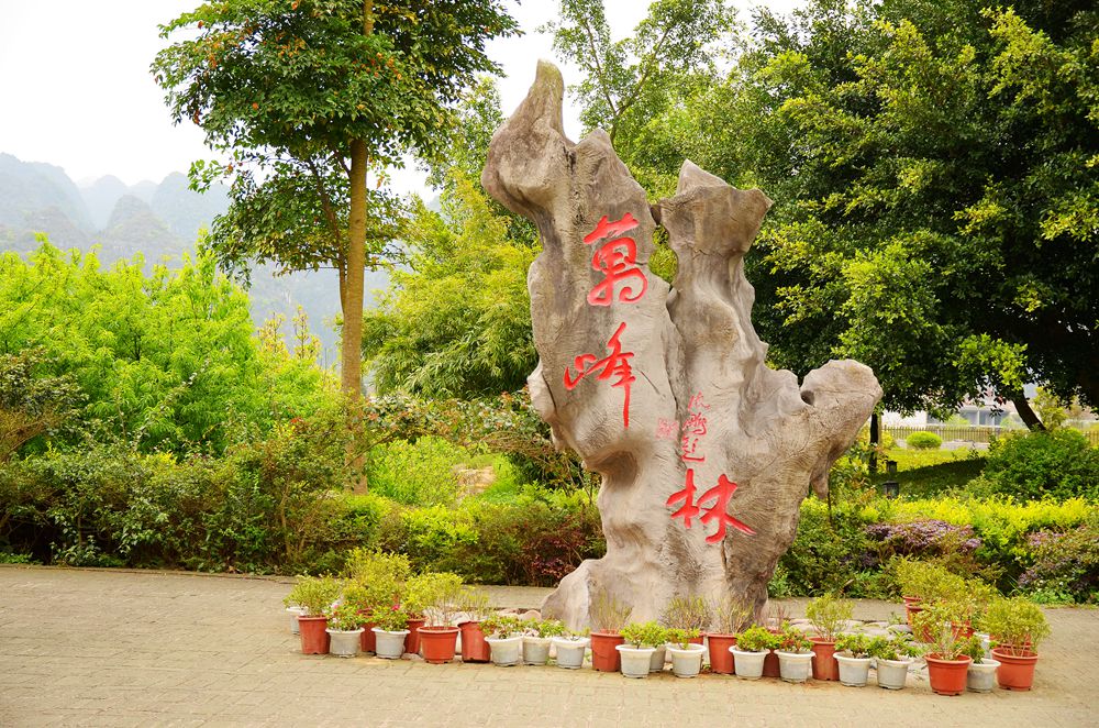 贵州兴义万峰林