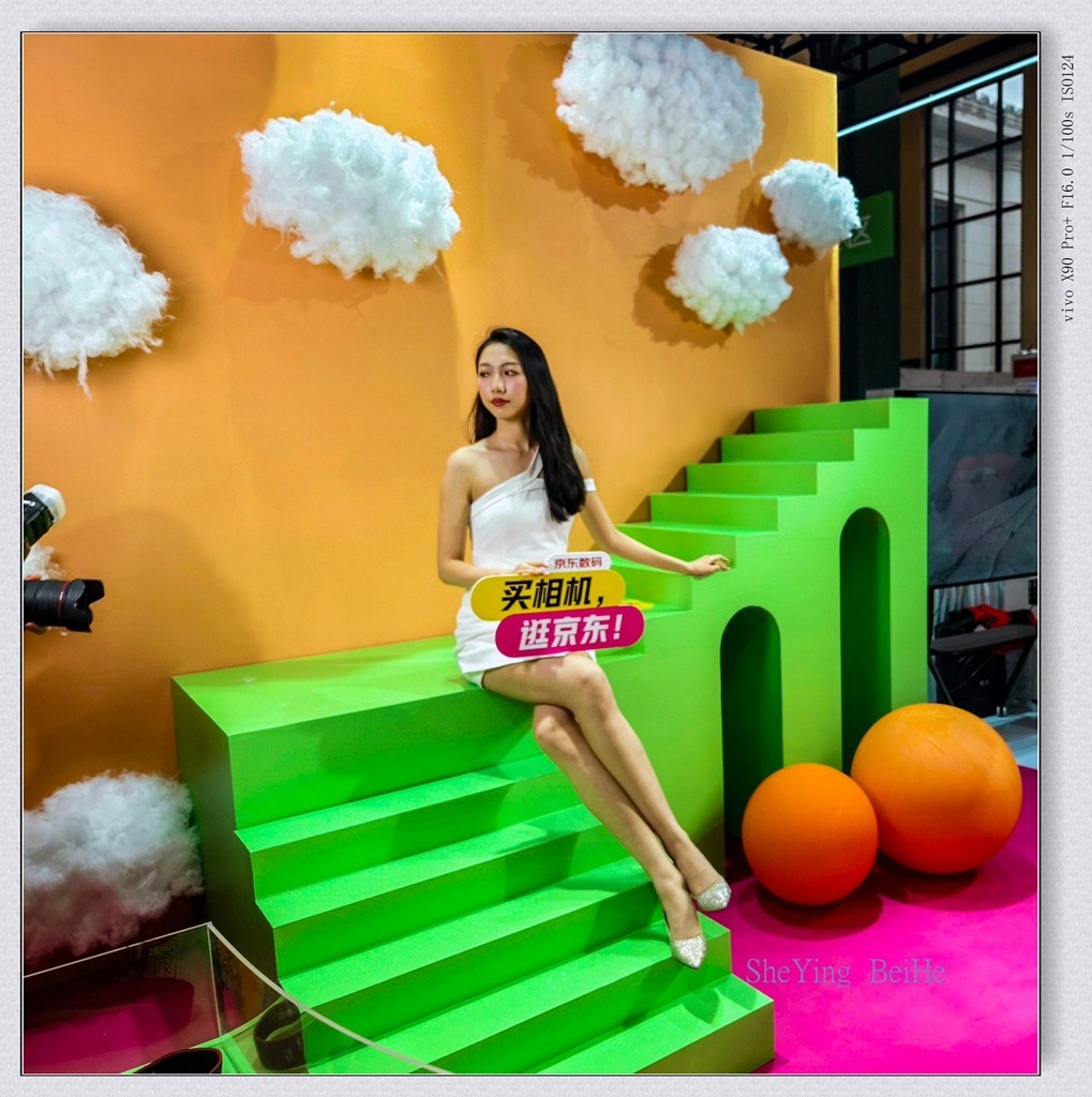 观看第25届照相机械器材技术展-续