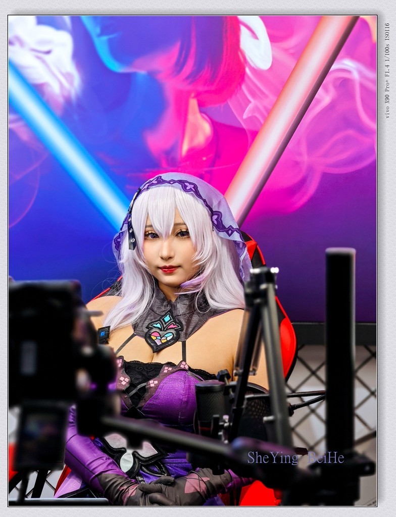 观看第25届照相机械器材技术展