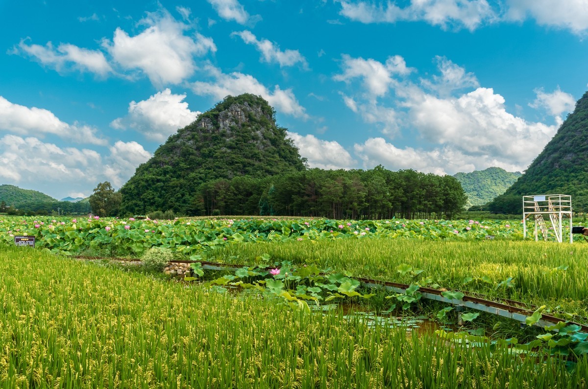 彩云之南~普者黑