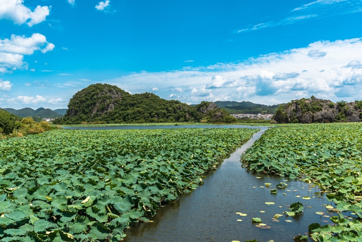 彩云之南~普者黑