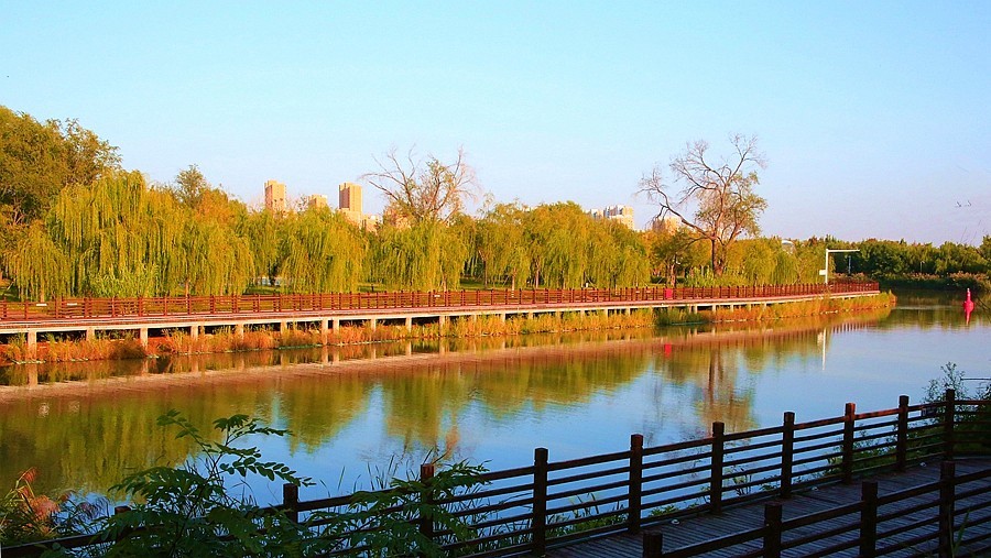 《不老松：纪实摄影》大美沧州系列報道：大运河畔之秋色！