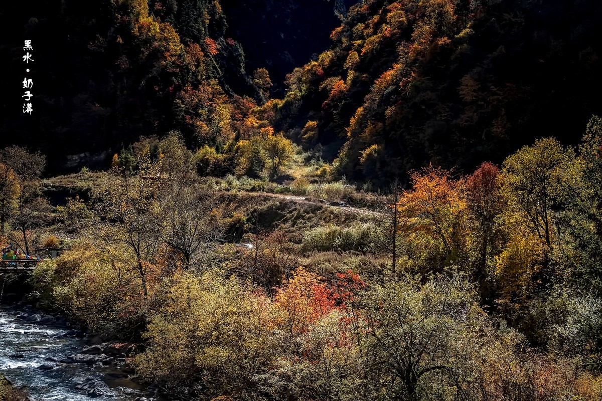 川西黑水 · 深秋中的奶子沟（3）