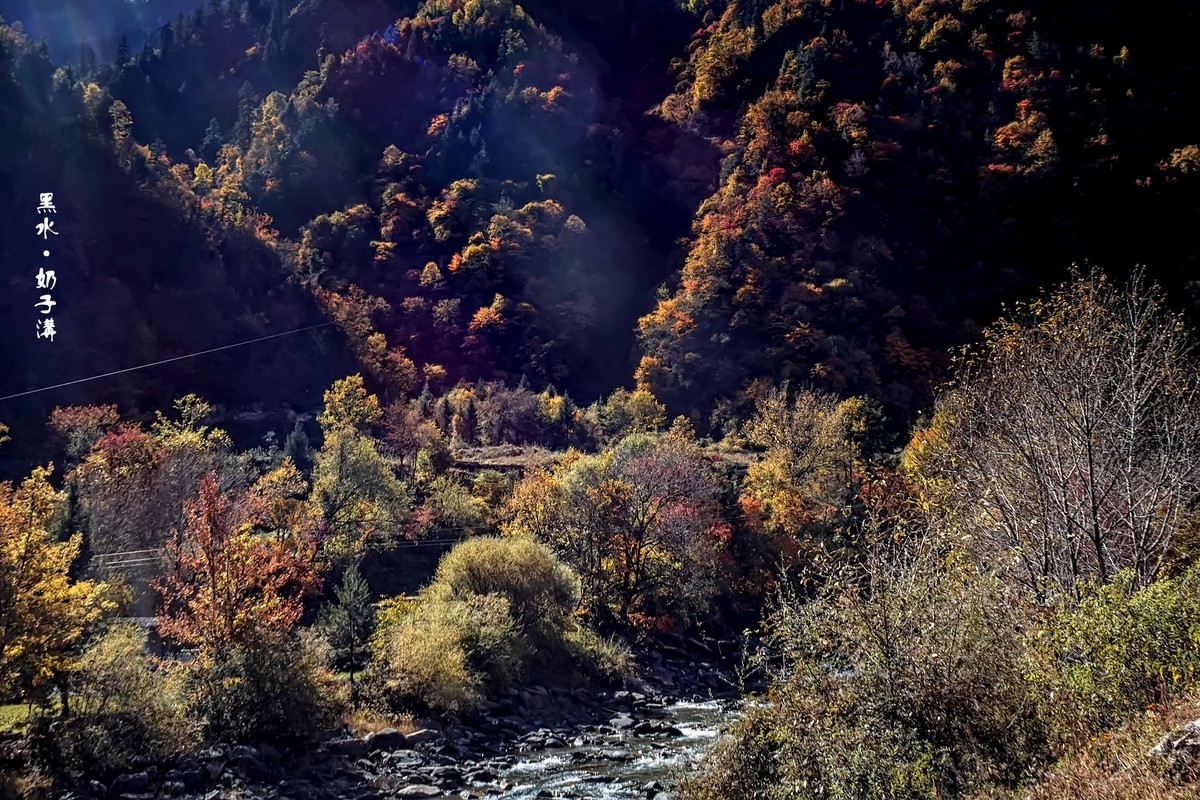 川西黑水 · 深秋中的奶子沟（3）
