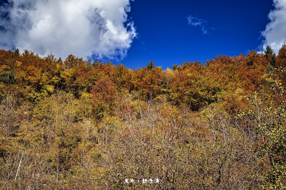 川西黑水 · 深秋中的奶子沟（3）