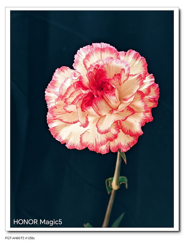 出远门回来给寿星老拜个晚年！哈哈！！