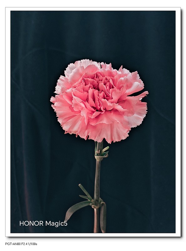 出远门回来给寿星老拜个晚年！哈哈！！