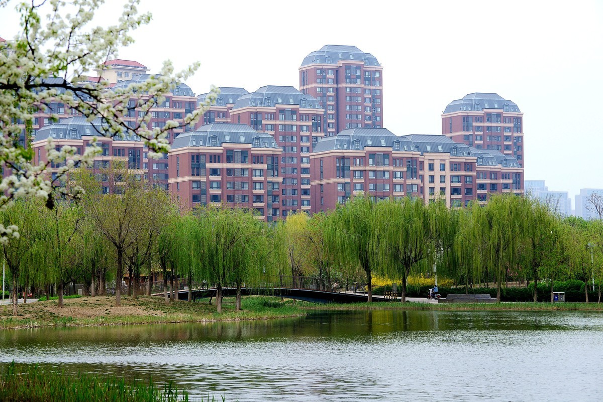 轻便好用的 小驴炮