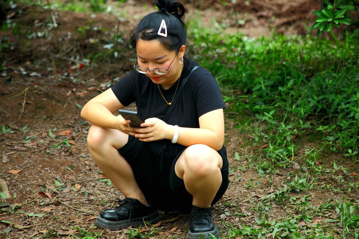 去果园摘杨梅（四）