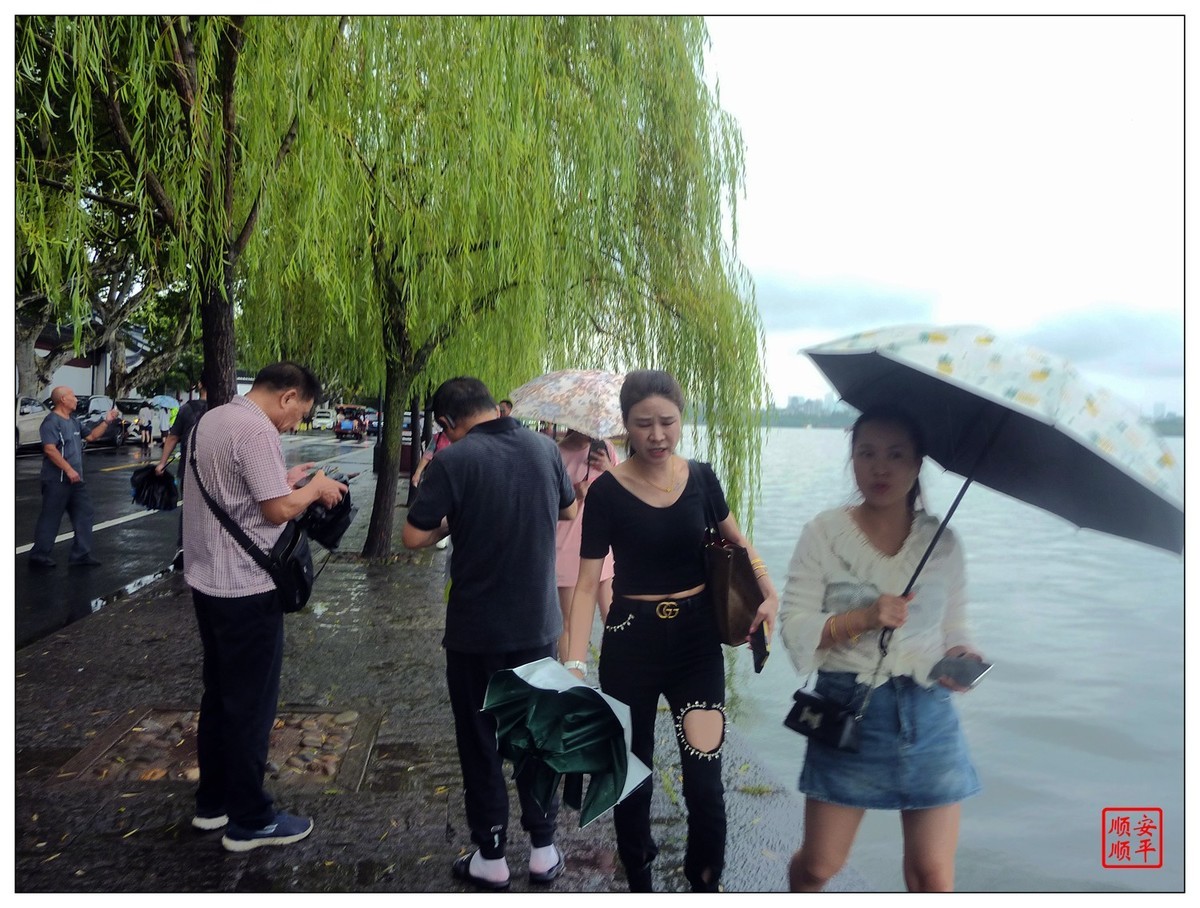旅游随拍-----浙江杭州西湖(断桥段)风景(中)