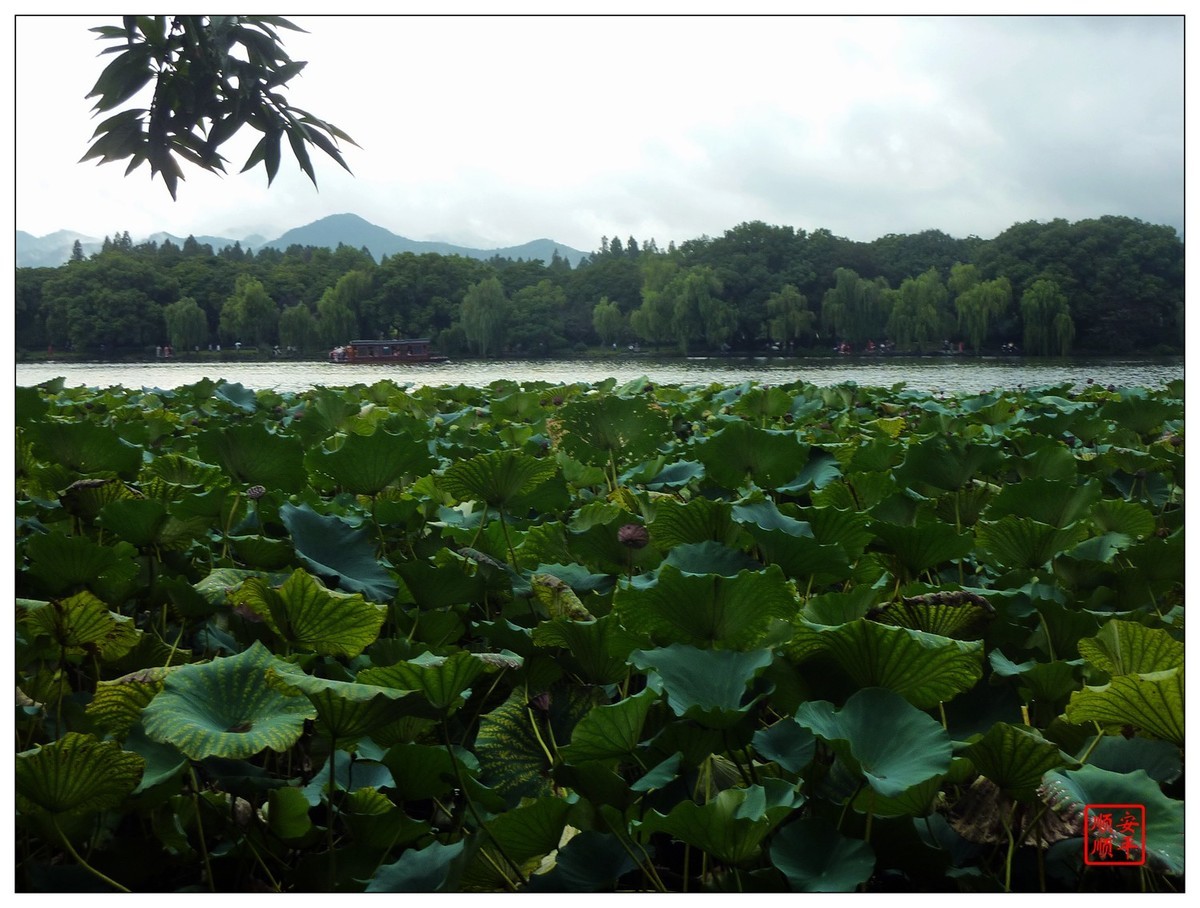 旅游随拍-----浙江杭州西湖(断桥段)风景(中)