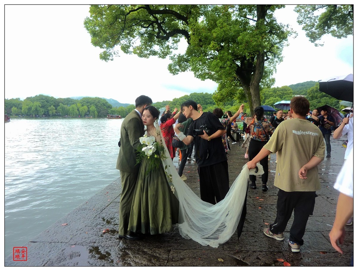 旅游随拍-----浙江杭州西湖(断桥段)风景(中)