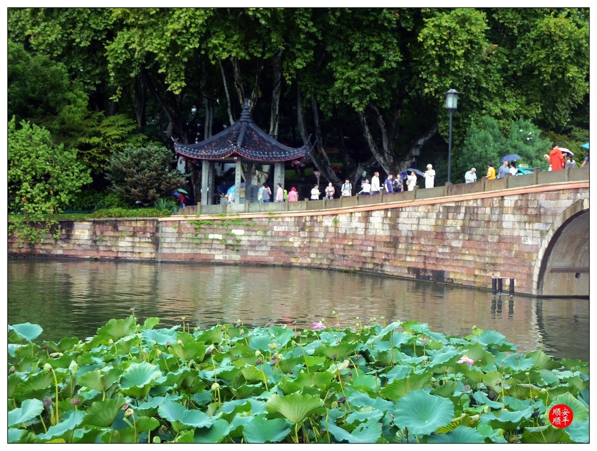 旅游随拍-----浙江杭州西湖(断桥段)风景(中)