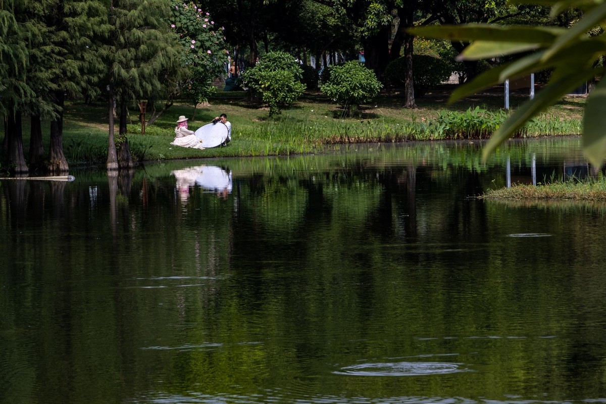 白云湖（十四）